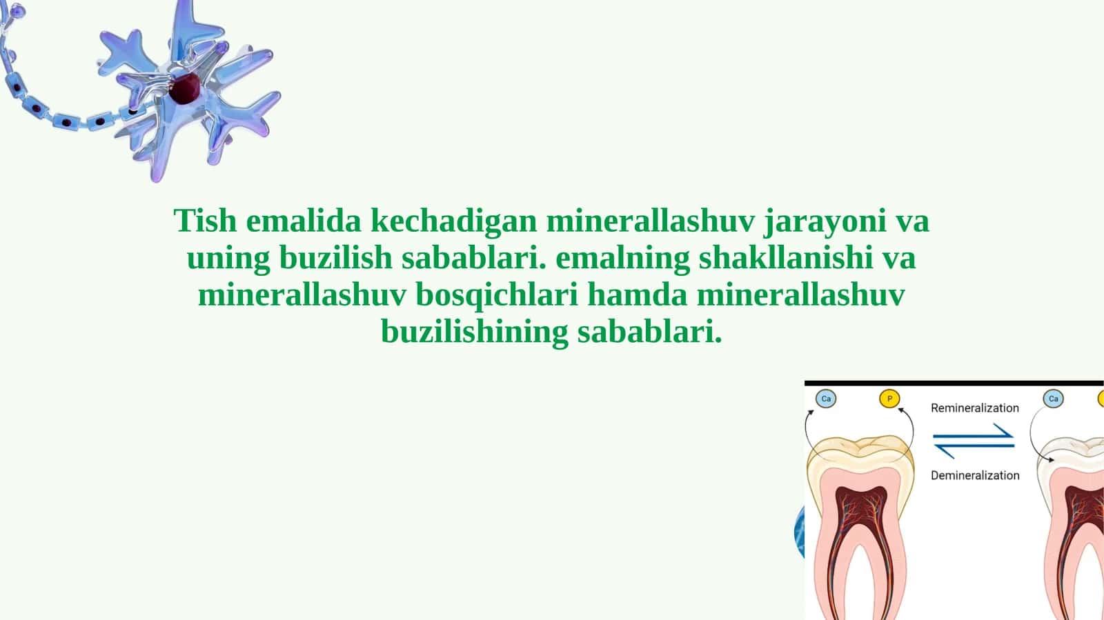 Tish emalining shakllanishi va minerallashuv bosqichlari