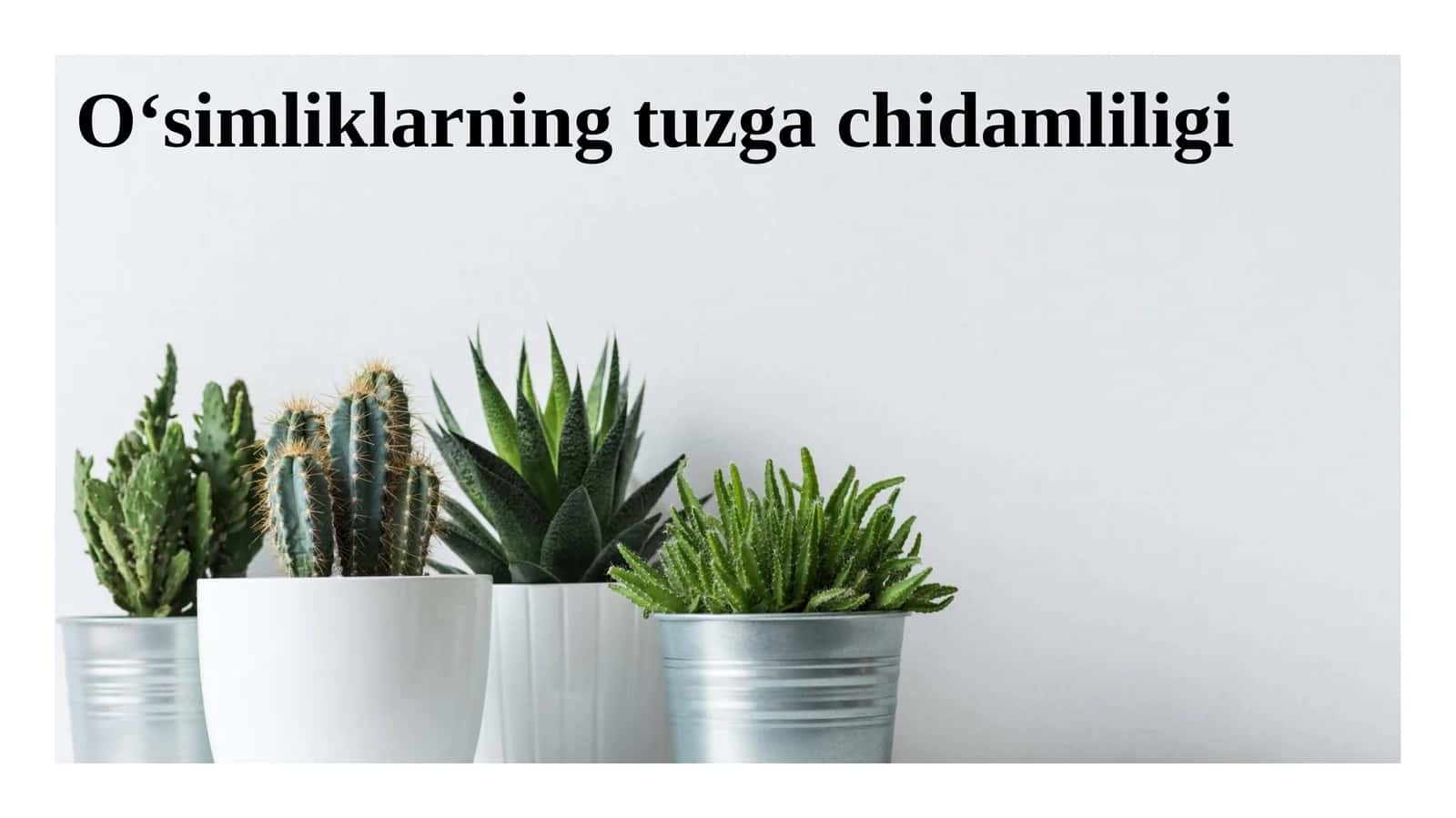 Tuzga chidamliligi