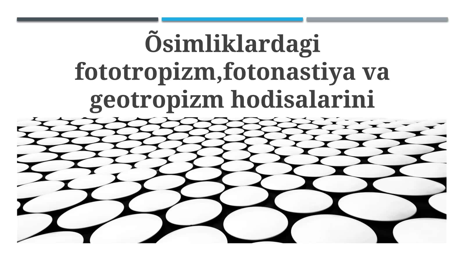 Fototropizm, Fotonastiya va Geotropizm: Ta'riflar va Mexanizmlar