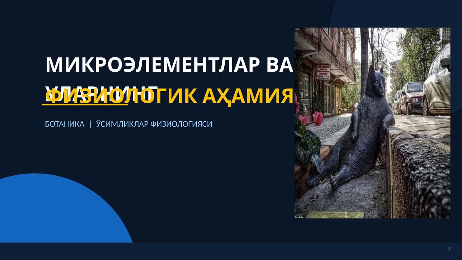 МИКРОЭЛЕМЕНТЛАР ВА УЛАРНИНГ