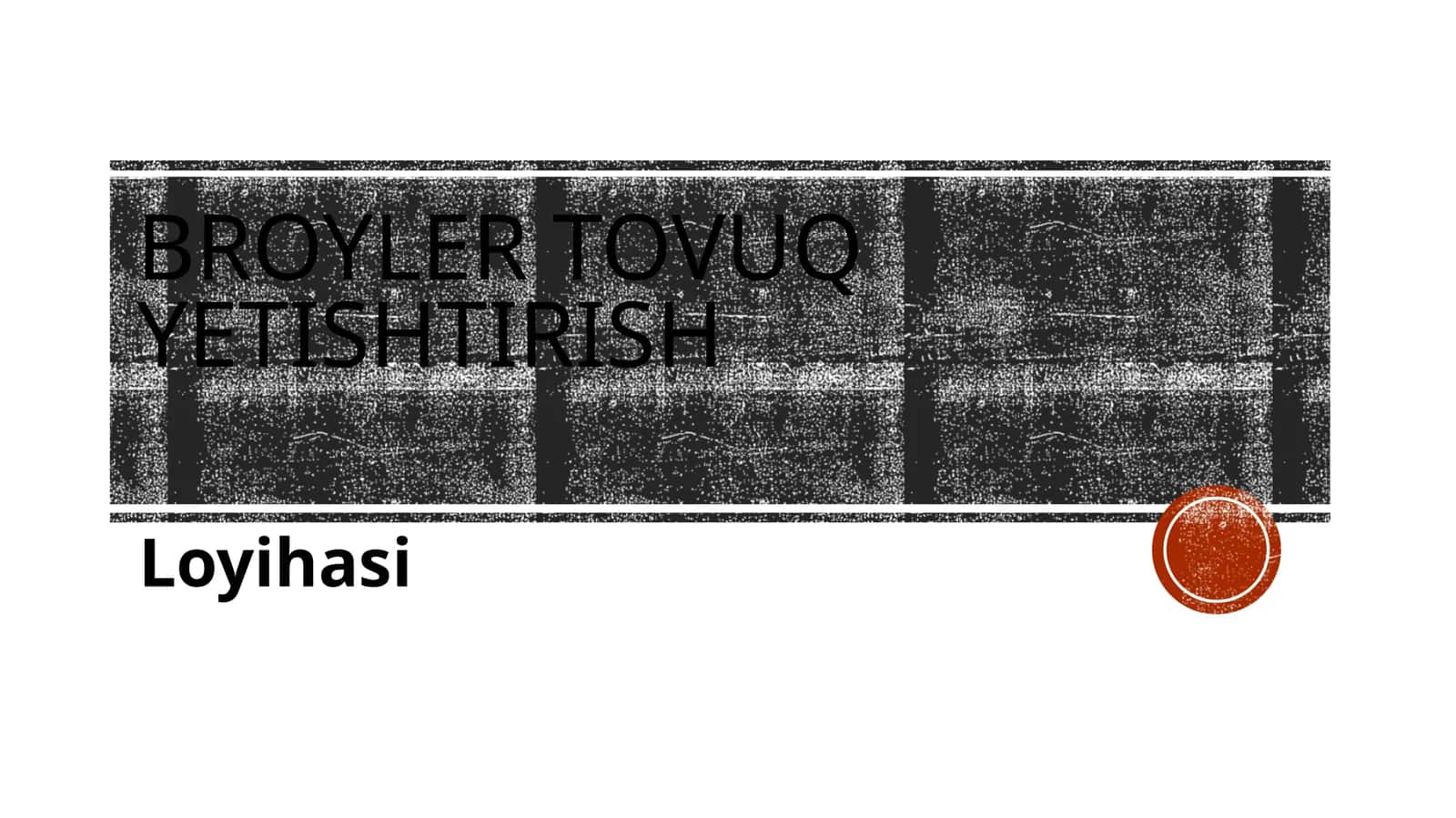(100 millionlik loyiha ishi) Broyler to'vush etishtirish loyihasi