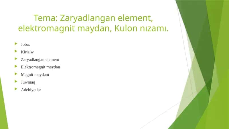 Fizikanıń elektromagnetizm bólimi