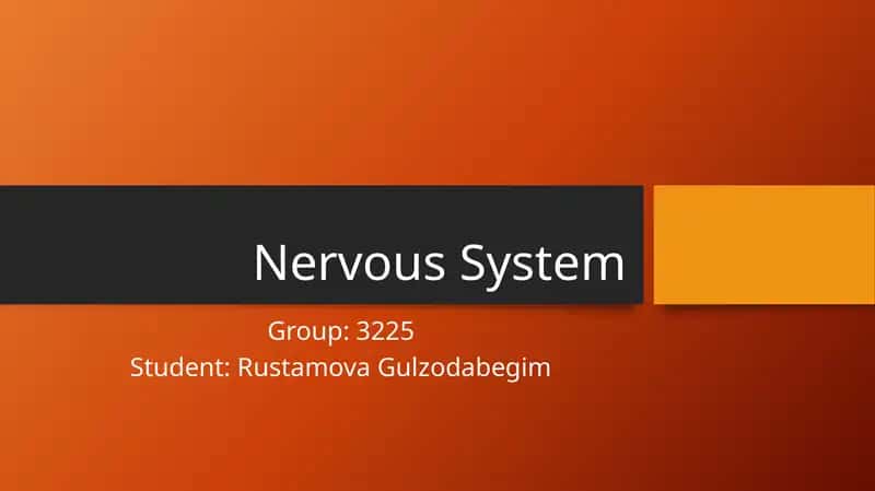 Nervous System