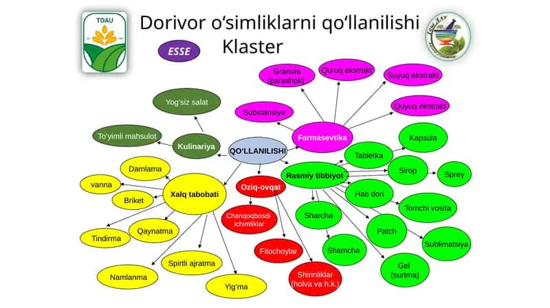 Oziq-ovqat