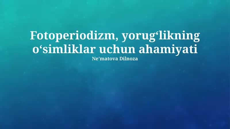 Fotoperiodizm, yorugʻlikning oʻsimliklar uchun ahamiyati
