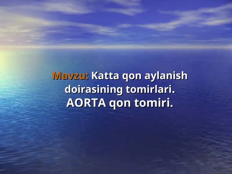 AORTA qon tomiri