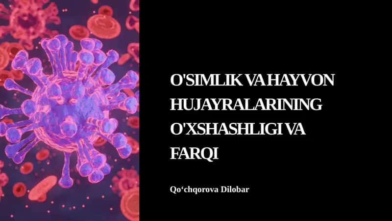 O'SIMLIK VA HAYVON HUJAYRALARINING O'XSHASHLIGI VA FARQI