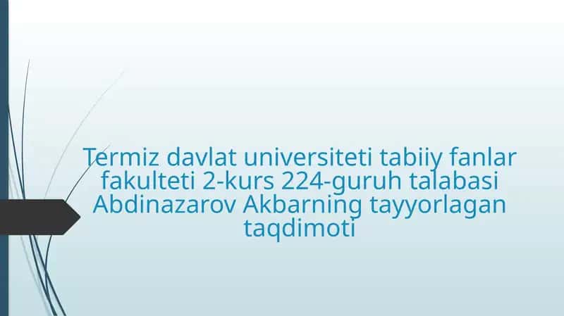 Salplar va appendikulyariyalar sinfi