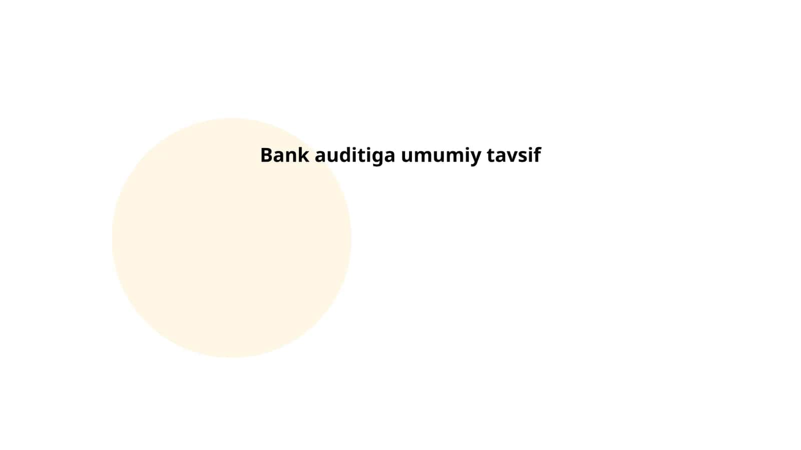 Bank auditiga umumiy tavsif