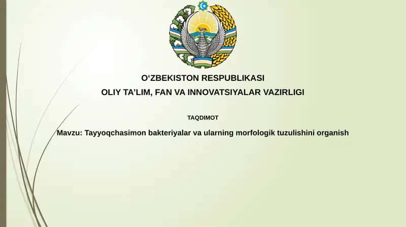 Rodsimon bakteriyalar Tuzilish va Xususiyatlari
