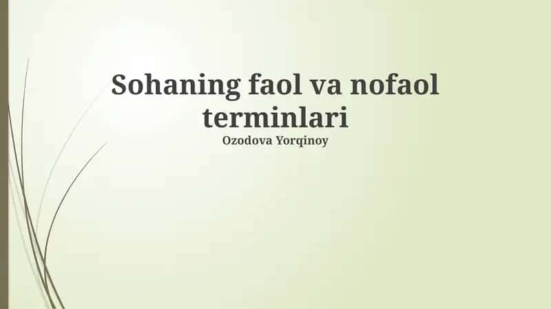Sohaning faol va nofaol terminlari