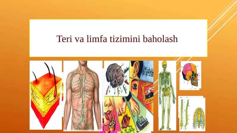 Teri va limfa tizimini baholash