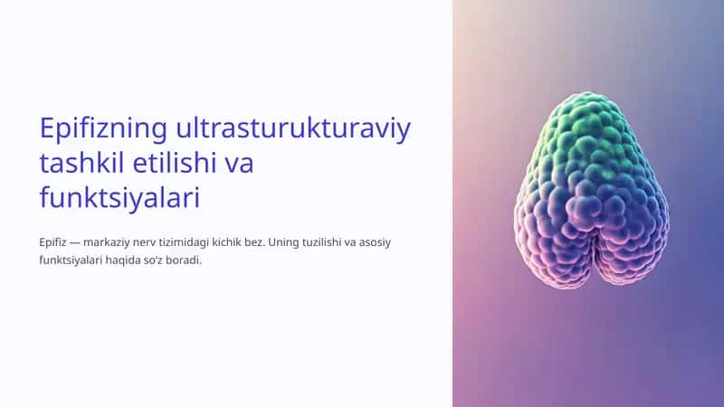 Epifizning ultrasturukturaviy tashkil etilishi va funktsiyalari.