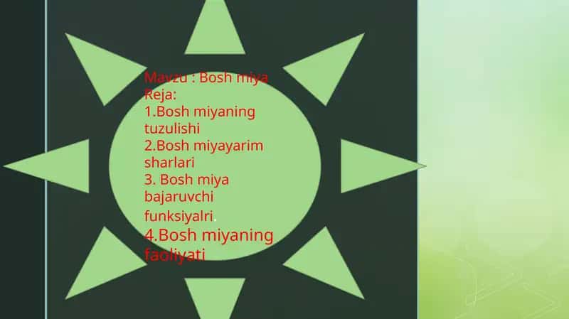 BOSH MIYA