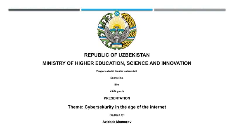 Cybersecurity in the age of the internet