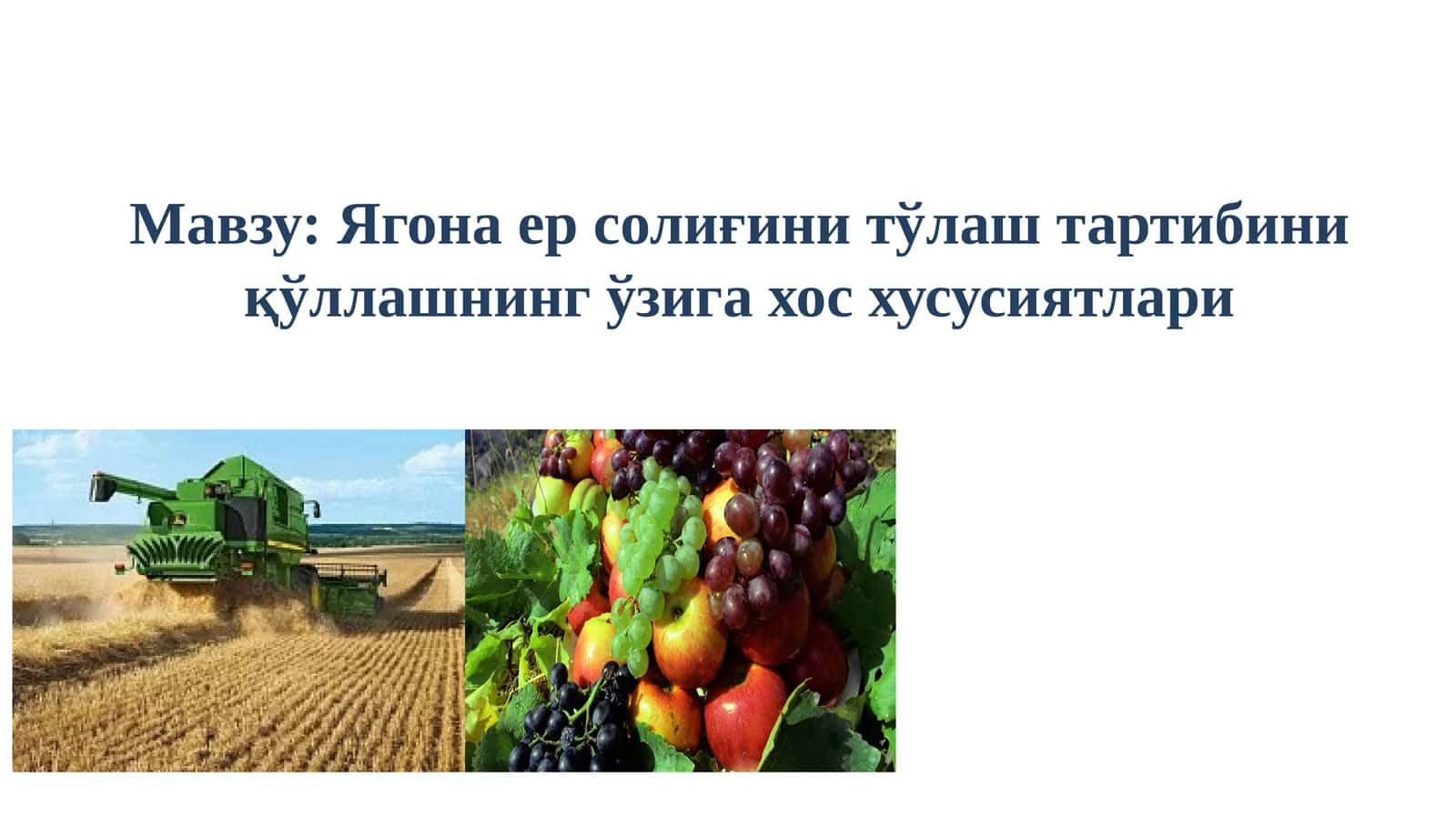 Ягона ер солиғини тўлаш тартибини қўллашнинг ўзига хос хусусиятлари