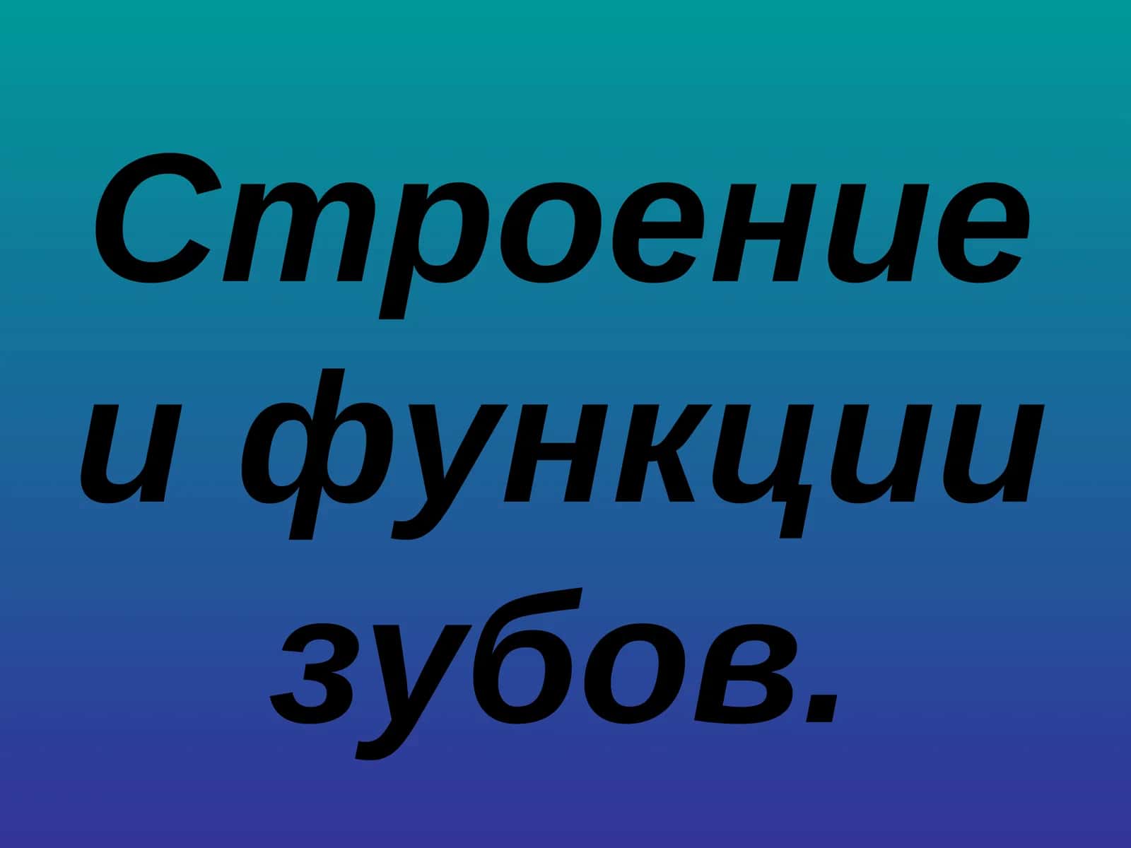 Строение и функции зубов