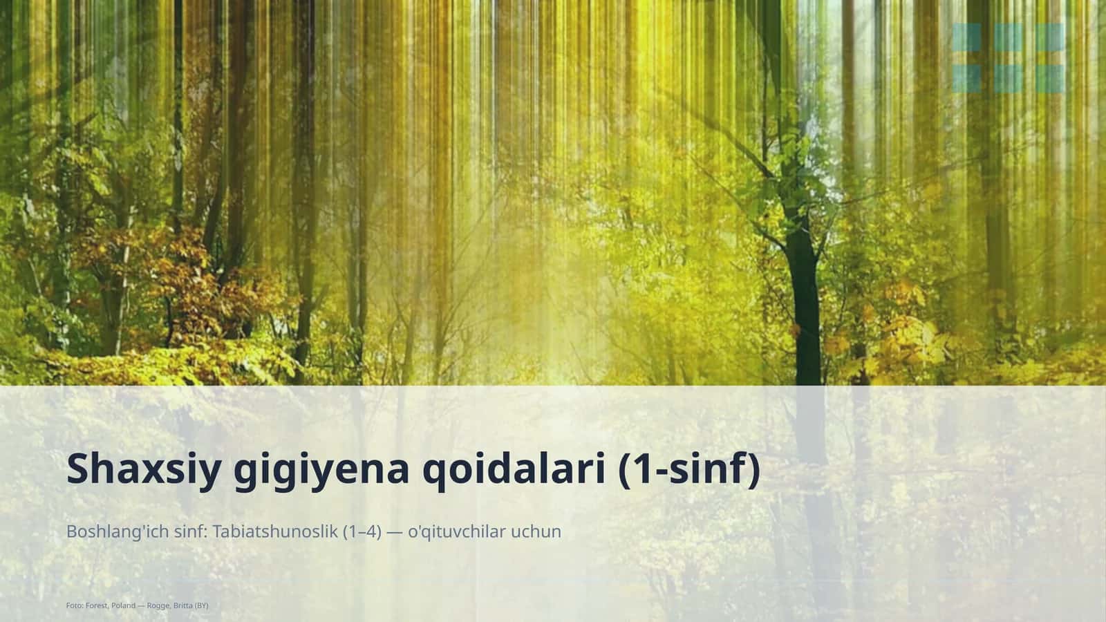 Shaxsiy gigiyena qoidalari (1-sinf)