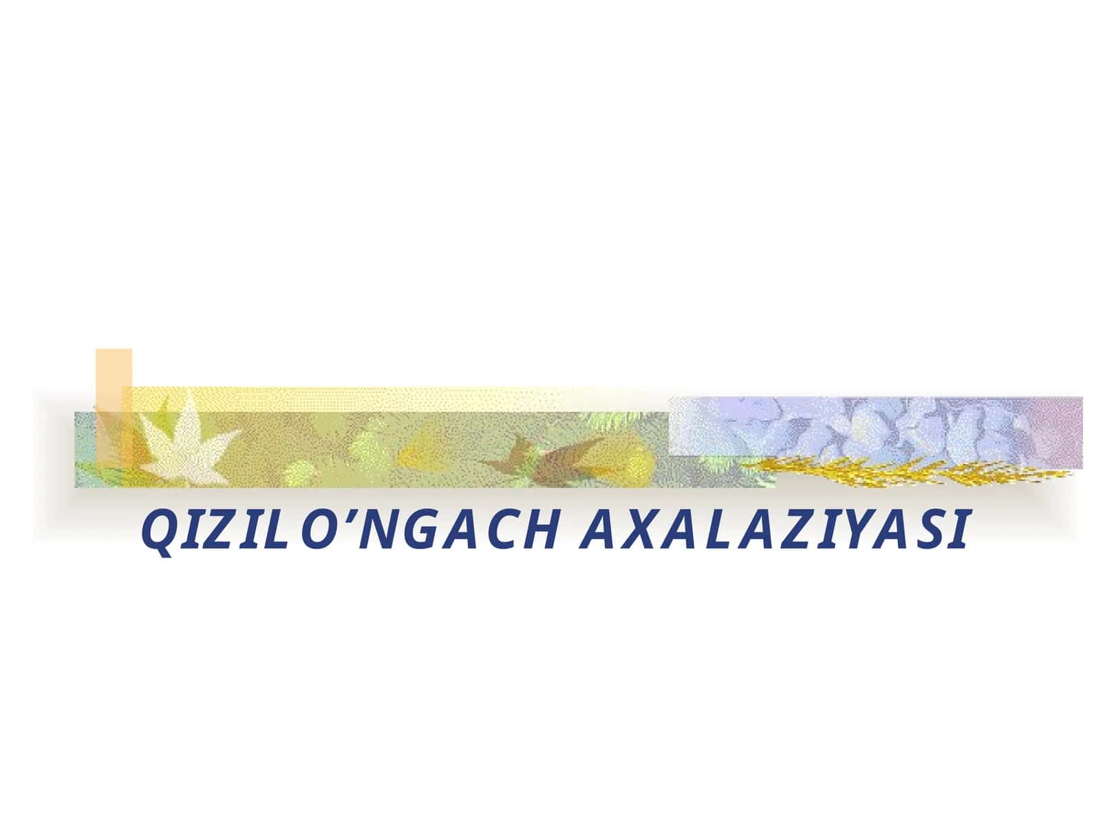 QIZILO’NGACHAXALAZIYASI