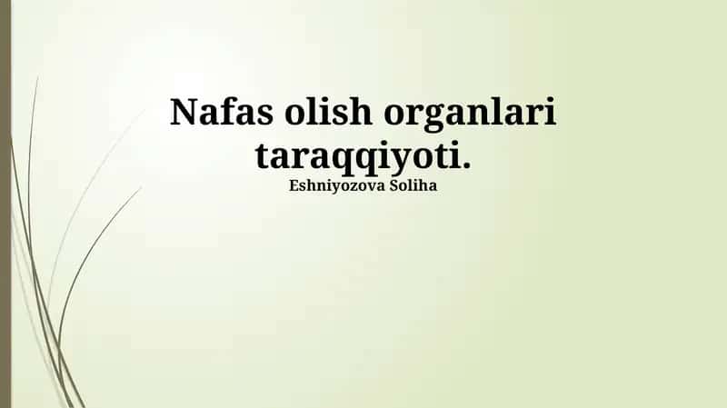 Nafas olish organlari taraqqiyoti