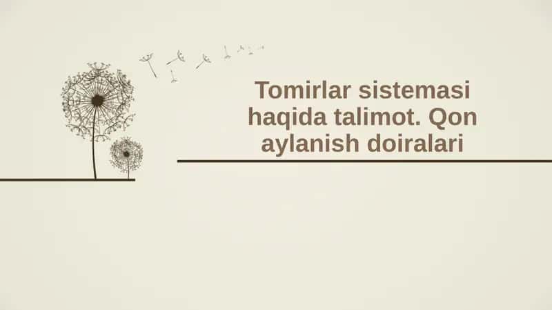 Qon tomirlar sistemasi