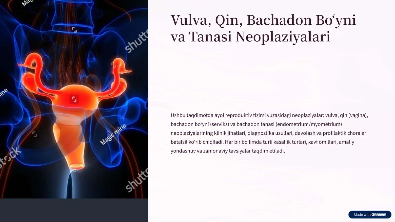 Vulva, Qin, Bachadon Boʻyni va Tanasi Neoplaziyalari