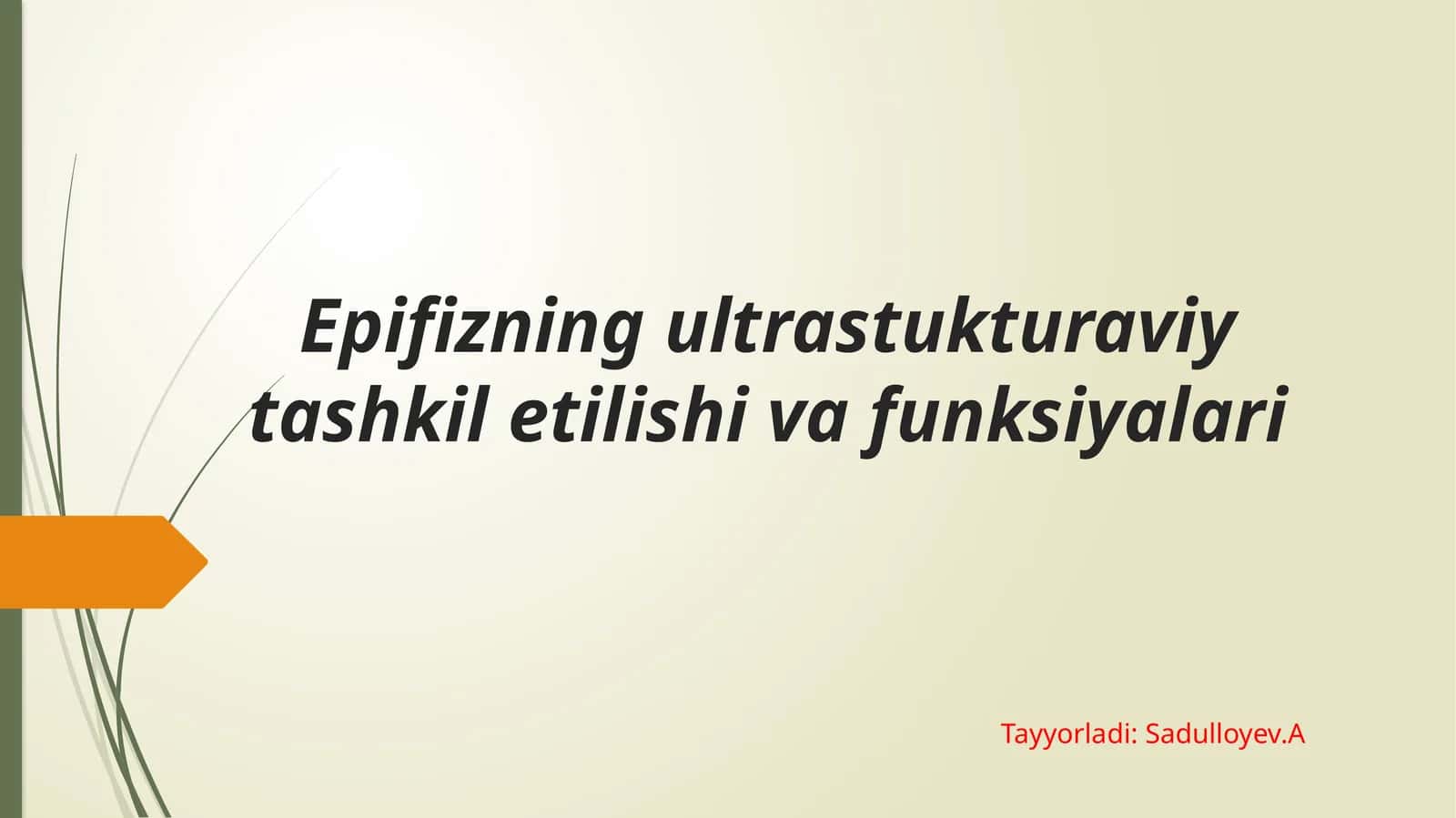 Epifizning ultrastukturaviy tashkil etilishi va funksiyalari.pptx