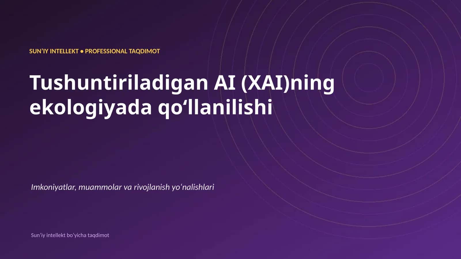Sun'i y intellekt • Professional taqdimot