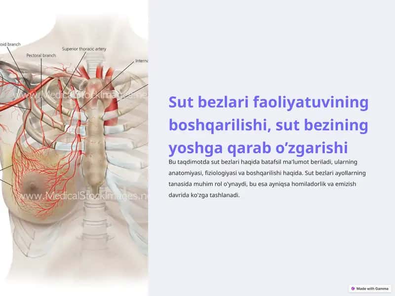 Sut bezlari faoliyatuvining boshqarilishi, sut bezining yoshga qarab o’zgarishi
