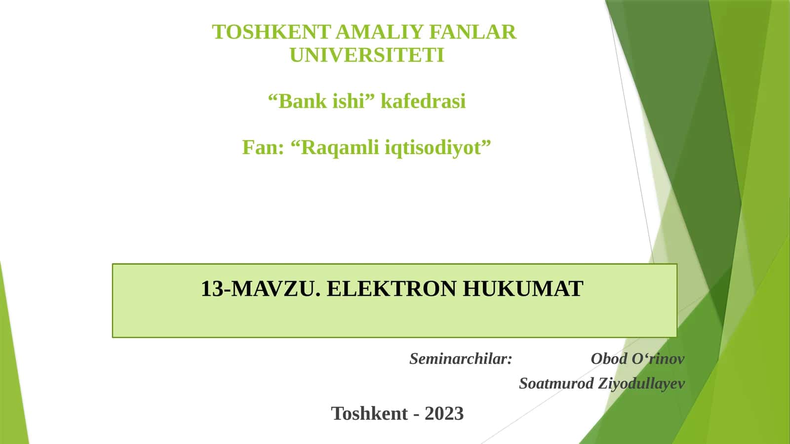 ELEKTRONHUKUMAT