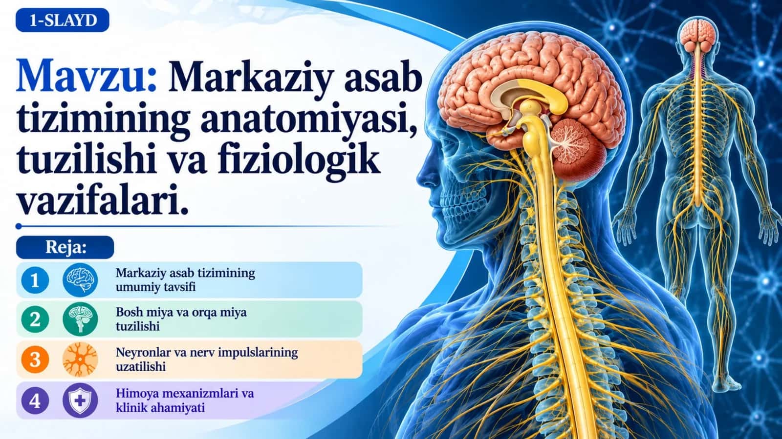 Markaziy asab tizimining anatomiyasi, tuzilishi va fiziologik vazifalari.pptx