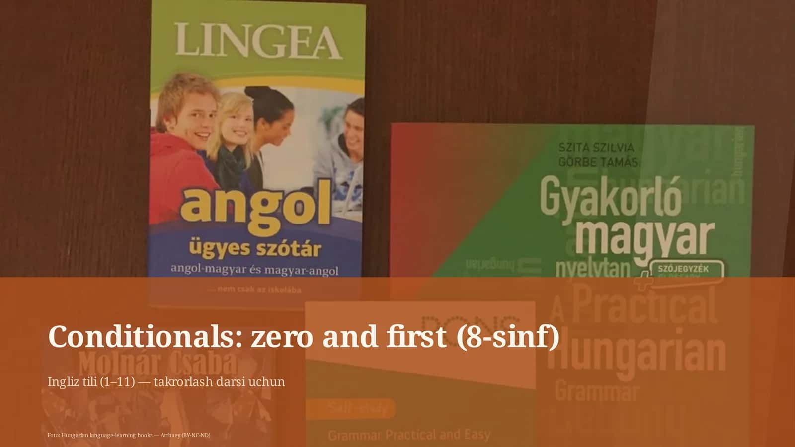 Conditionals: zero and first (8-sinf)