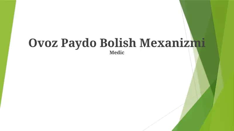Ovoz Paydo Bolish Mexanizmi