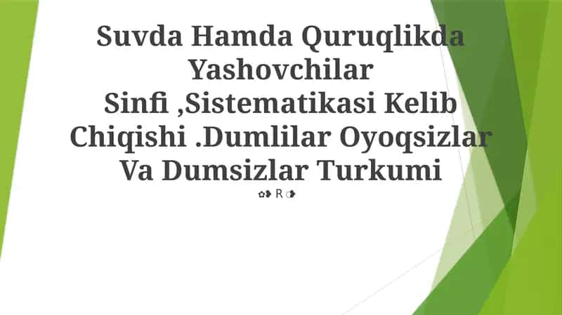 Suvda Hamda Quruqlikda Yashovchilar Sinfi,Sistematikasi Kelib Chiqishi