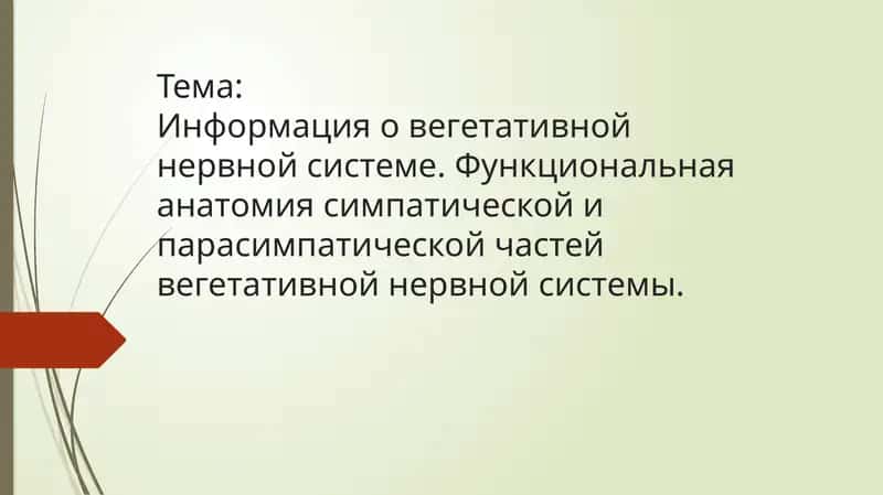 Информация о вегетативной нервной системе