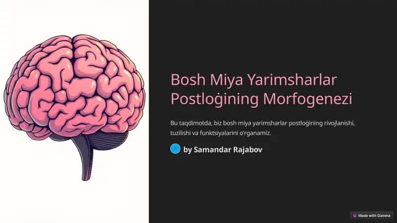 Bosh Miya Yarimsharlar Postloġining Morfogenezi
