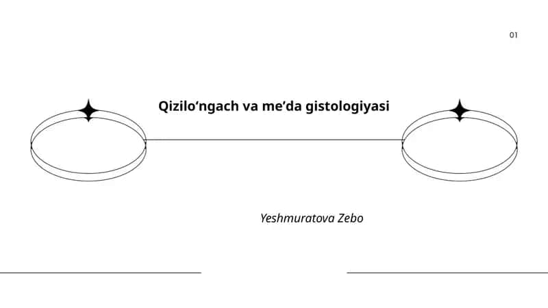Qiziloʻngach va meʼda gistologiyasi