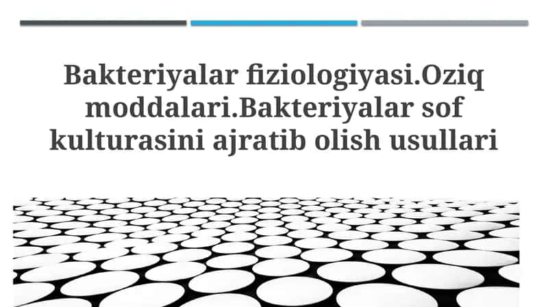 Bakteriyalar fiziologiyasi va oziqlanishi