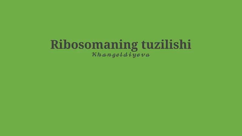Ribosomaning tuzilishi