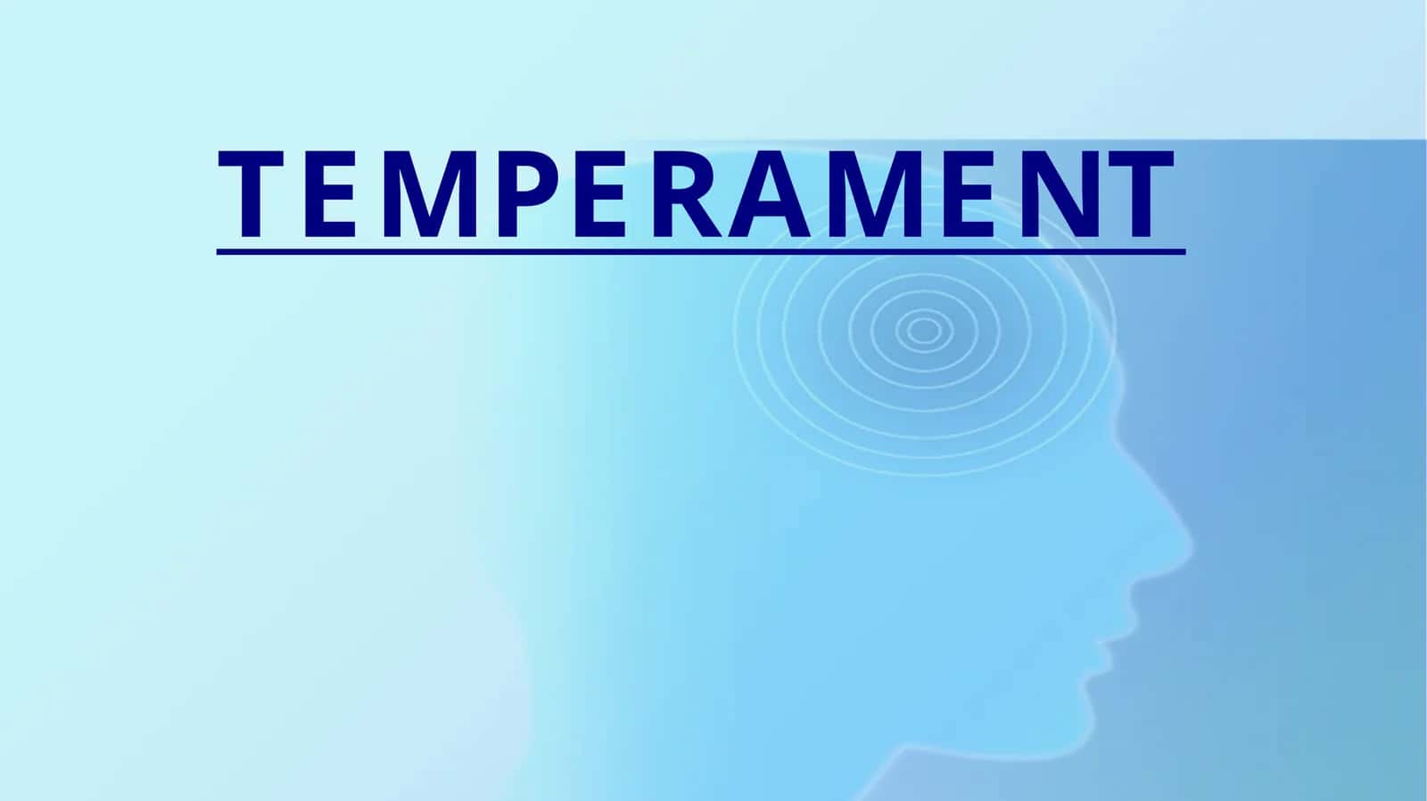 TEMPERAMENT