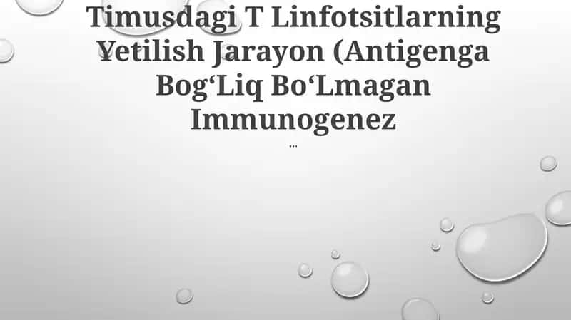 Timusdagi T Linfotsitlarning Yetilish Jarayon (Antigenga BogʻLiq BoʻLmagan Immunogenez