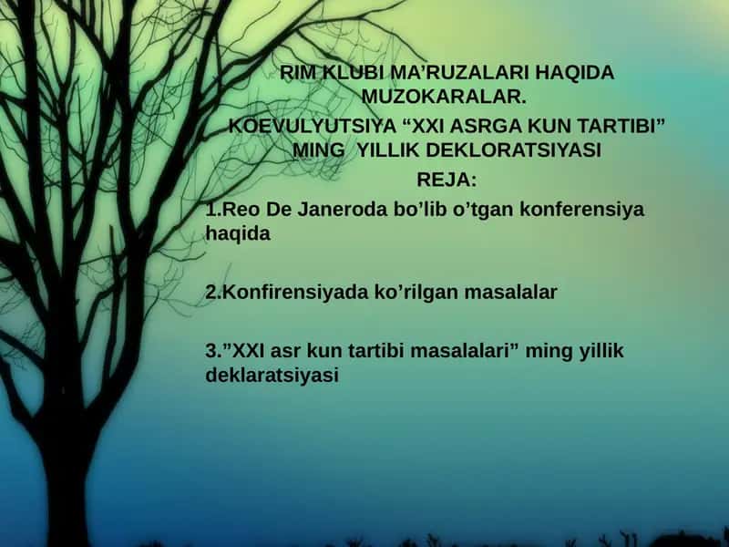 KOEVULYUTSIYA "XXI ASRGA KUN TARTIBI" MING YILLIK DEKLORATSIYASI