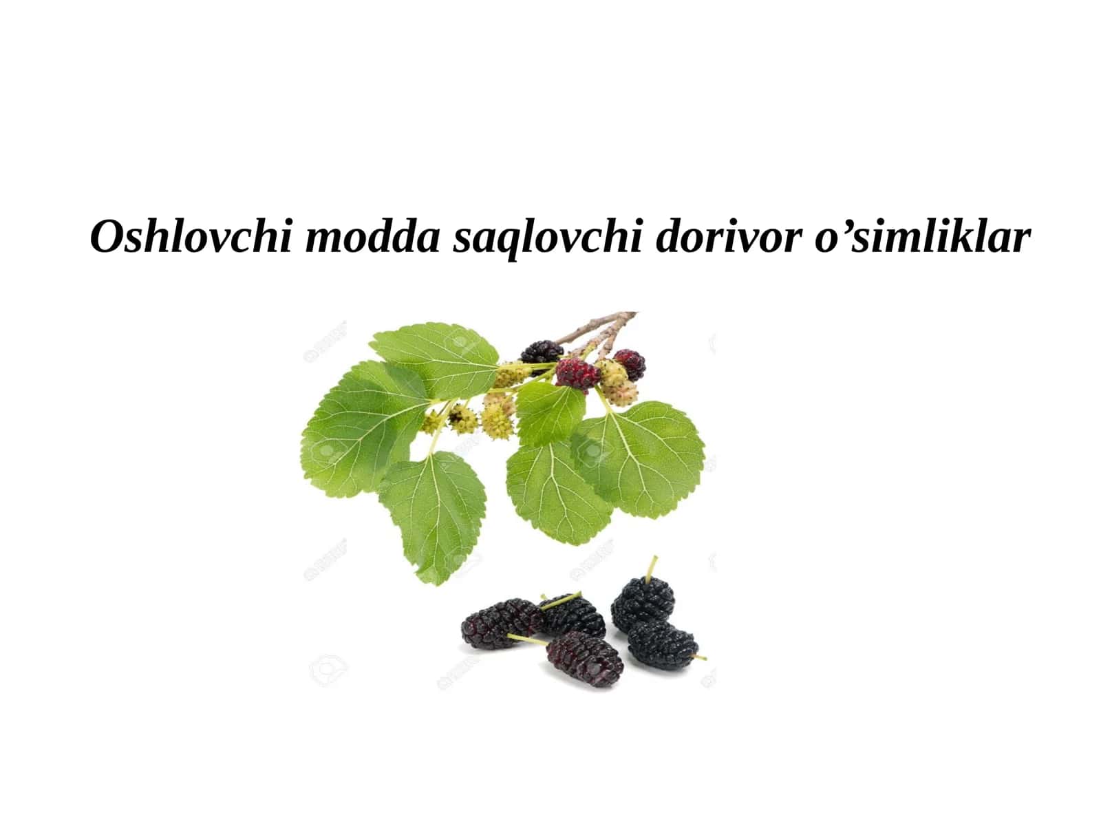 Oshlovchimoddasaqlovchidorivoro’simliklar