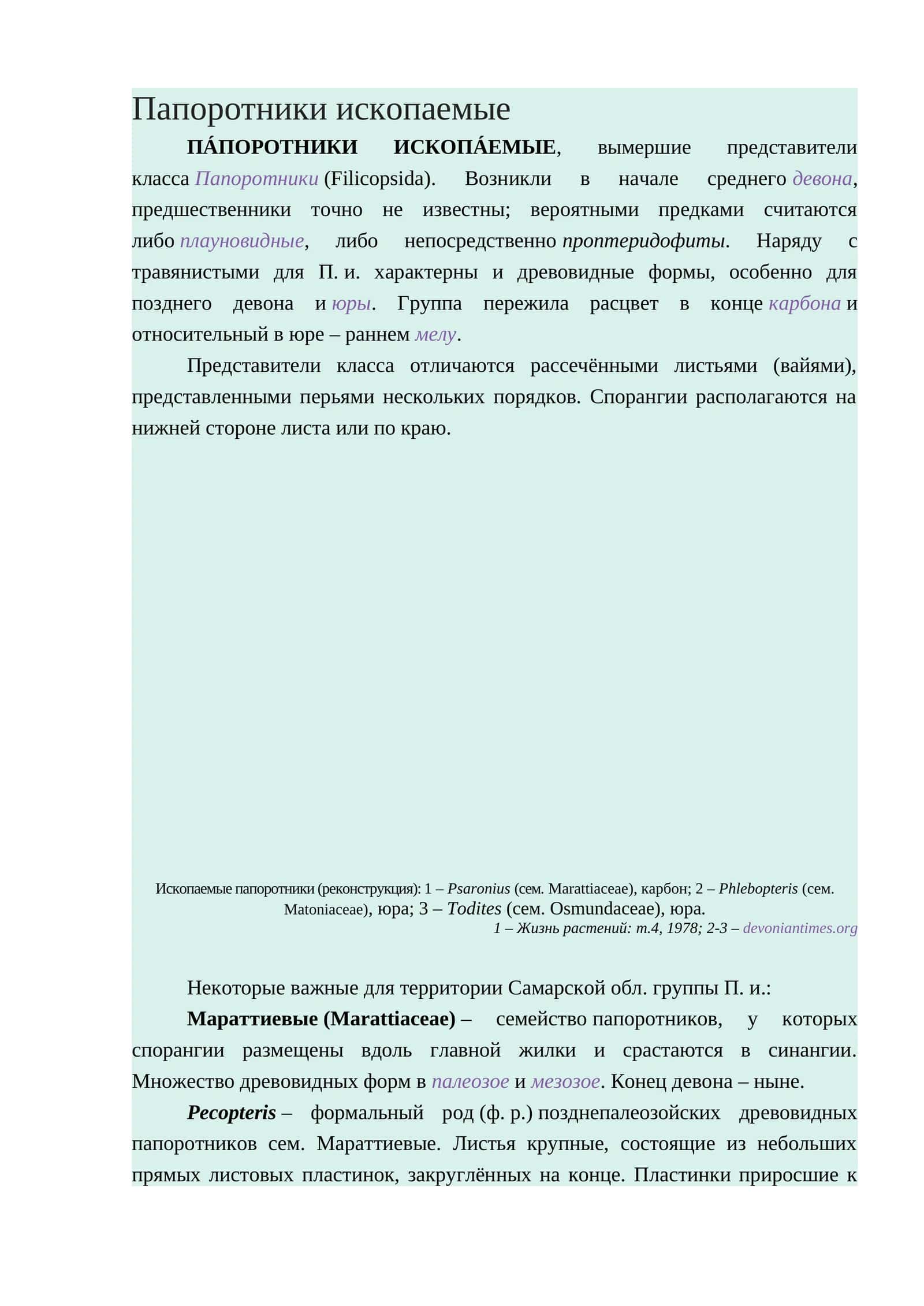 Папоротники ископаемые