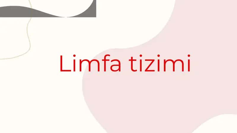 Limfa tizimi