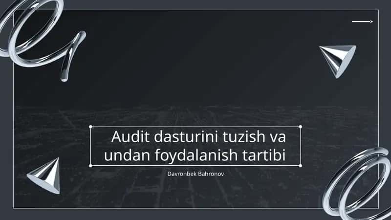 Audit Dasturi
