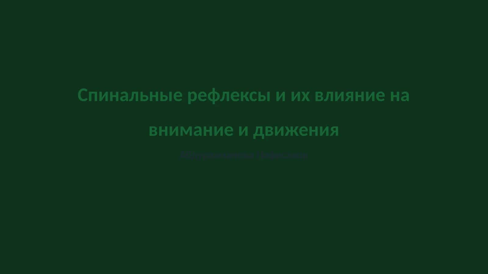 Спинальные рефлексы и их влияние на внимание и движения