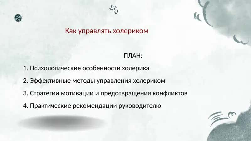 Как управлять холериком