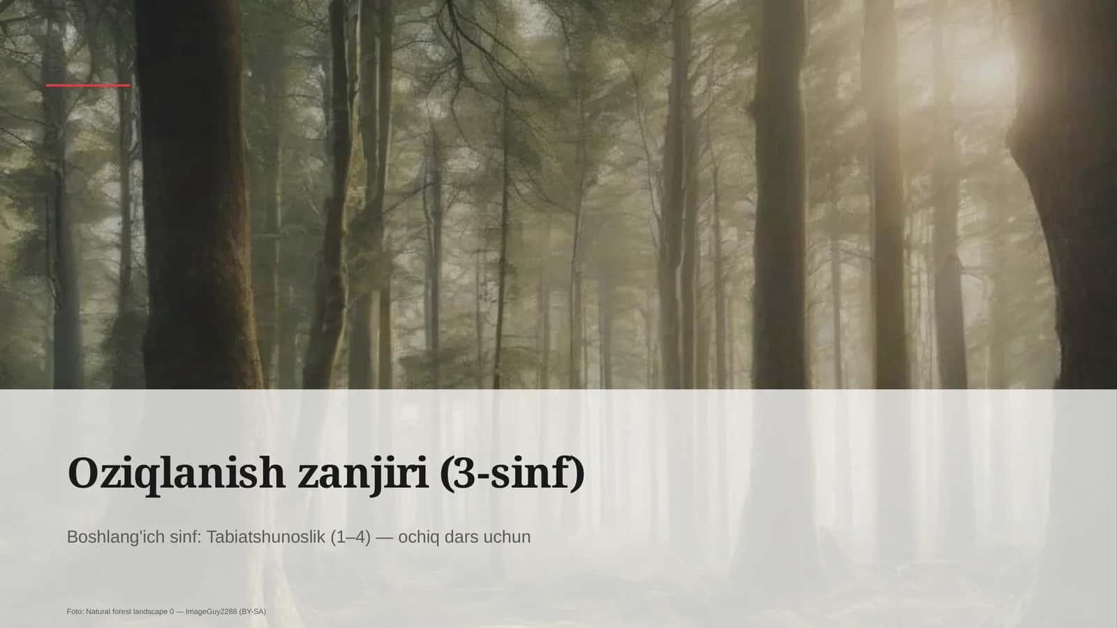 Oziqlanish zanjiri (3-sinf)