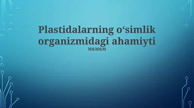 Plastidalarning oʻsimlik organizmidagi ahamiyti
